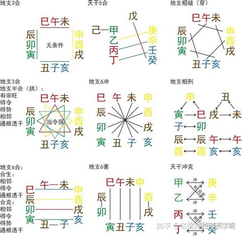 寅午|十二地支解析：午 午与其他十二地支的关系